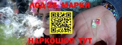 сатива Сланцы