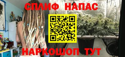 сатива Сланцы